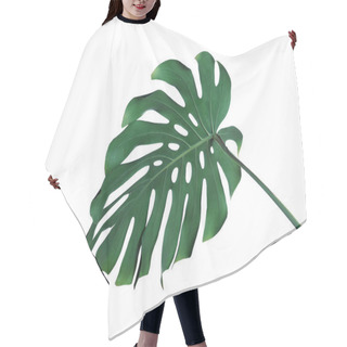 Personality  Green Fresh Monstera Leaf Isolated On White. Tropical Plant Hair Cutting Cape