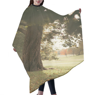 Personality  Tree And Fallen Leaves On Grass In Central Park In New York City Hair Cutting Cape