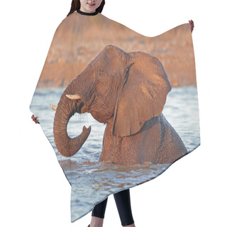 Personality  Elephant In Water Hair Cutting Cape