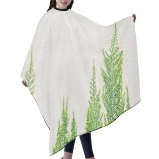 Personality  Tree On Wall Hair Cutting Cape