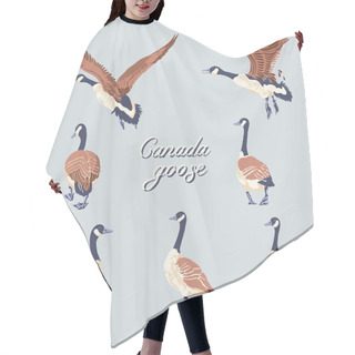 Personality  Canada Geese. Hand-drawn Set Of Birds. Vintage Collection. Vector Illustration. Hair Cutting Cape