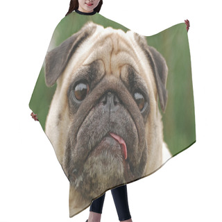 Personality  Pug Hair Cutting Cape