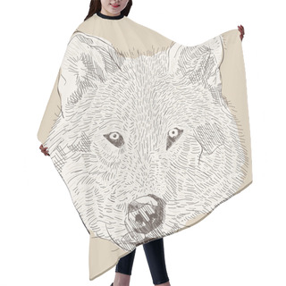 Personality  Engraving Style Vector Hand Drawing Wolf Head Hair Cutting Cape