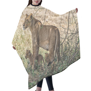 Personality  Lioness And Cubs Hair Cutting Cape