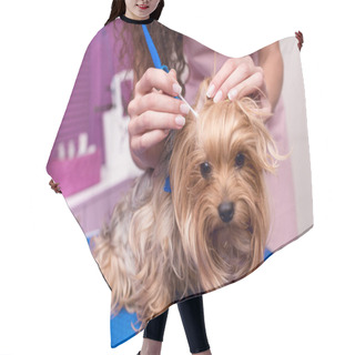 Personality  Groomer Cleaning Dog Ears Hair Cutting Cape