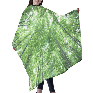 Personality  Trees In A Forrest Hair Cutting Cape