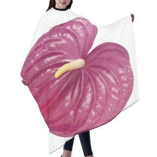 Personality  Dull Magenta Anthurium Hair Cutting Cape