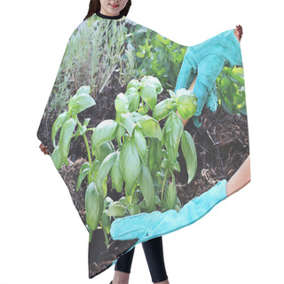 Personality  Planting Basil Hair Cutting Cape