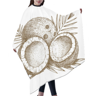 Personality  Engraving  Illustration Of Coconut And Palm Leaf Hair Cutting Cape