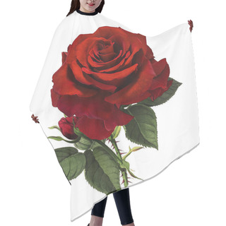 Personality  Roses Isolated On White Background Hair Cutting Cape