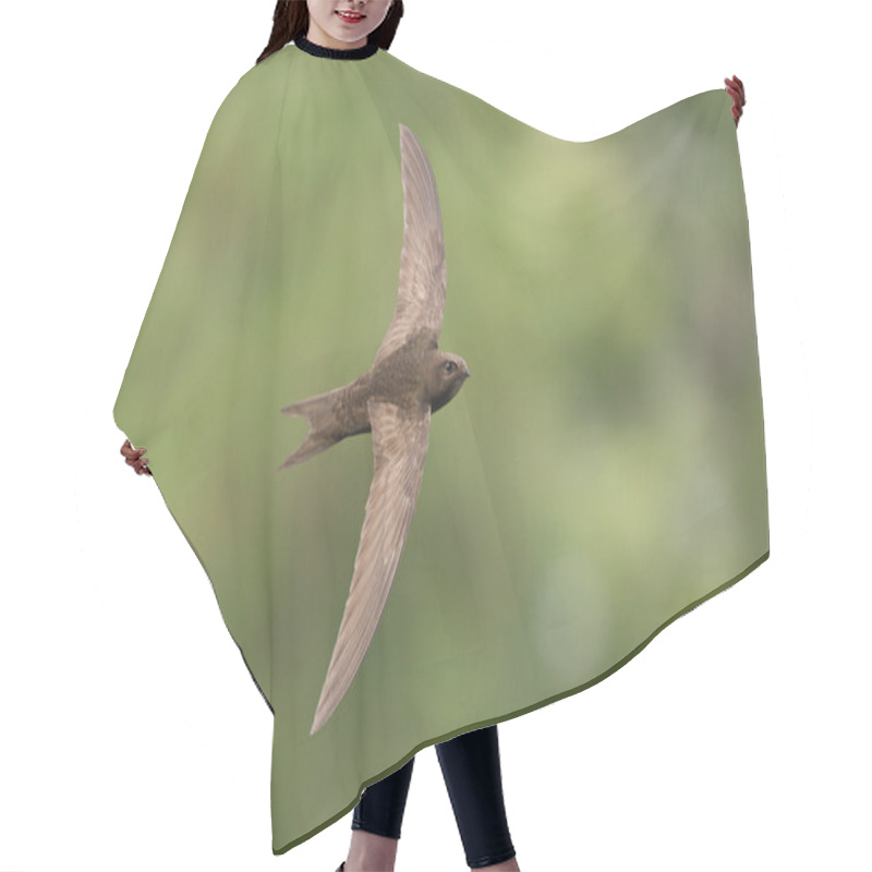 Personality  Fastest Bird In The World Hair Cutting Cape