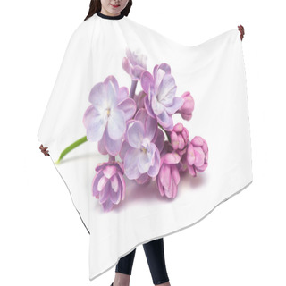 Personality  Lilac Flowers Isolated. White Background Hair Cutting Cape