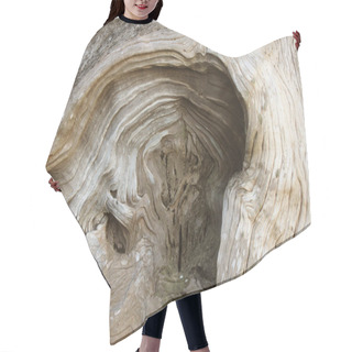 Personality  Wood Texture On The Old Tree Stump Roots. Wavy Lines. Image Of Bark Texture Of Wood Background Closeup Hair Cutting Cape
