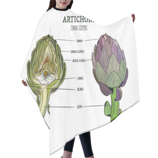 Personality  Artichoke. Set Of Hand Drawn Artichoke. Fresh Organic Food. Vector Illustration With Sketch Vegetable. Hair Cutting Cape