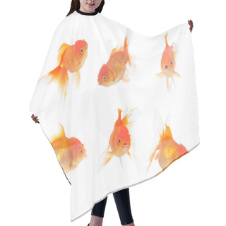 Personality  Many Gold Fish On Isolation White Hair Cutting Cape