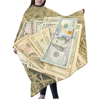Personality  Image Of Dollars Money On Hay Closeup Hair Cutting Cape
