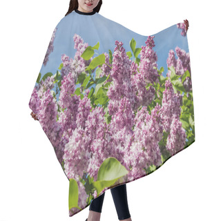 Personality  Lilac Bush With Pale Purple Flowers Hair Cutting Cape