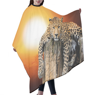 Personality  Leopard Hair Cutting Cape