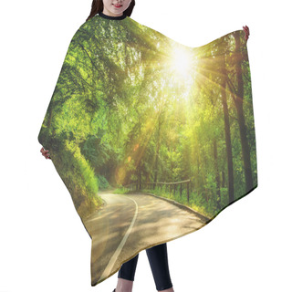 Personality  Scenic Road In A Forest Hair Cutting Cape
