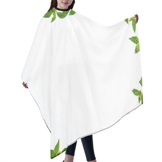 Personality  White Background With Whiteweed Leaf Frame. Suitable For Ppt Hair Cutting Cape