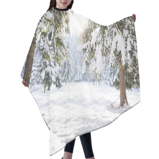 Personality  Winter Beautiful Scene Tree And Snow Hair Cutting Cape