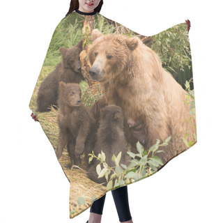 Personality  Four Brown Bear Cubs Sitting With Mother Hair Cutting Cape