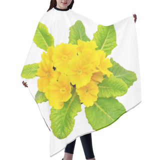 Personality  Yellow Primrose Flowers Hair Cutting Cape