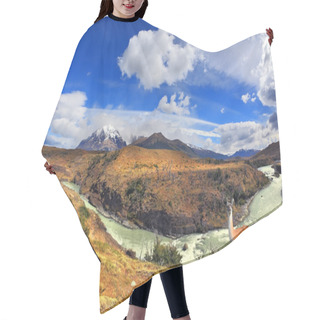 Personality  Adorable Little Llama In Patagonia Hair Cutting Cape