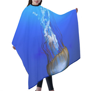 Personality  Jellyfish On Blue Hair Cutting Cape