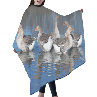 Personality  Group Of Grey  Domestic Geese  On A Lake Hair Cutting Cape