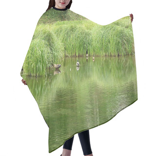 Personality  Ducks Playing In The Water. Waterfowl Background Material. Hair Cutting Cape
