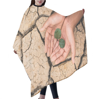 Personality  Hands Of Boy Save Little Green Plant On Cracked Dry Ground, Concept Drought And Crisis Environment Hair Cutting Cape