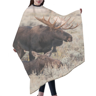 Personality  Moose Hair Cutting Cape
