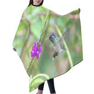 Personality  Emerald Colibri Flying Near Flowers Hair Cutting Cape