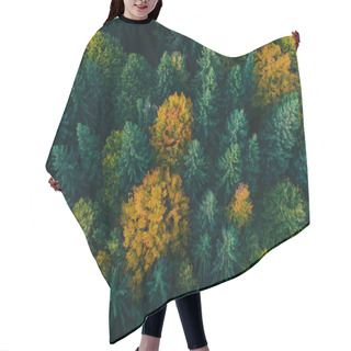 Personality  Aerial View Of Autumn Tree Tops. Hair Cutting Cape