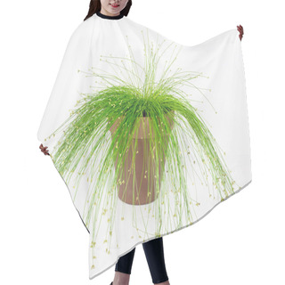 Personality  Fiber Optic Grass, Live Wire Hair Cutting Cape