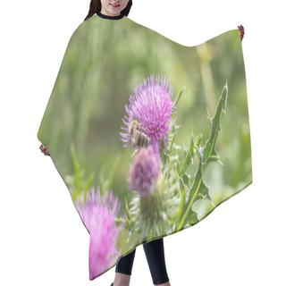 Personality  Pink Purple Flower Heads, Surrounded By Spiny Br. Hair Cutting Cape