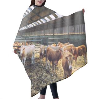 Personality  Herd Of Cows In Cowshed Hair Cutting Cape