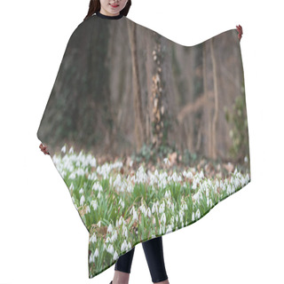 Personality  Beautiful Snowdrops Background Nature Scenic View  Hair Cutting Cape