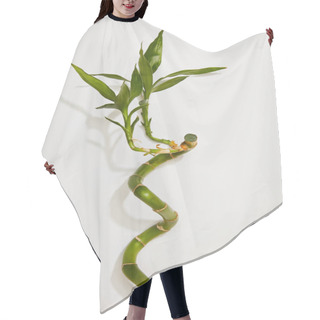 Personality  Top View Of Green Bamboo Stem With Leaves On White Background Hair Cutting Cape
