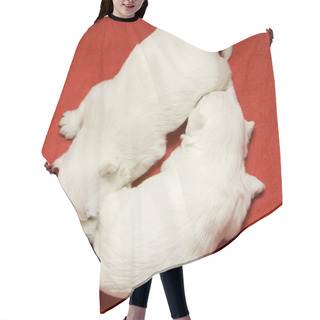 Personality  Sleeping Puppies Hair Cutting Cape