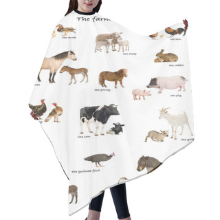 Personality  Collage Of Farm Animals In English In Front Of White Background, Hair Cutting Cape