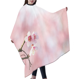 Personality  Sakura Flowers Or Cherry Blossoms Hair Cutting Cape