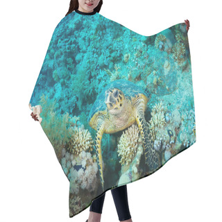 Personality  Hawksbill Turtle Hair Cutting Cape