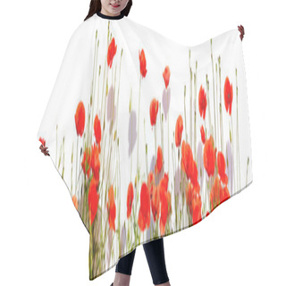 Personality  Extra Large Horizontal Frame Of Poppies Isolated On White Backgr Hair Cutting Cape
