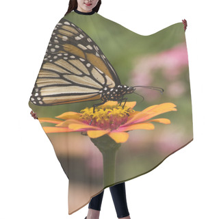 Personality  Monarch Butterfly Hair Cutting Cape