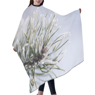 Personality  Frozen Pine Tree Hair Cutting Cape