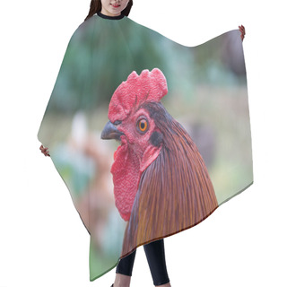 Personality  Rooster Head Hair Cutting Cape