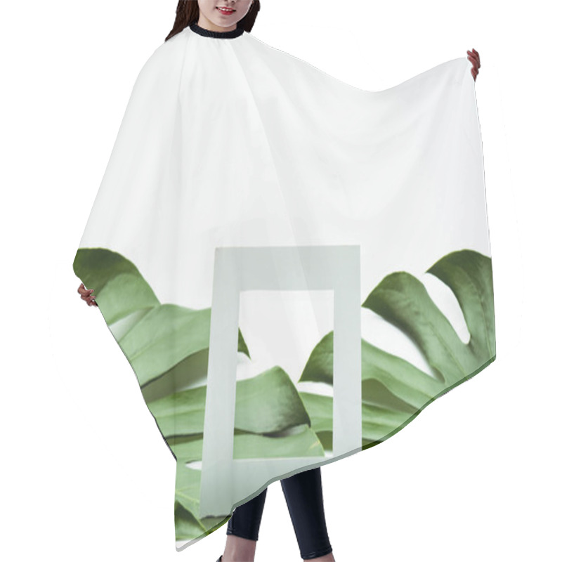 Personality  square empty frame on green palm leaves on white background hair cutting cape