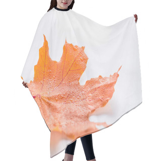 Personality  Selective Focus Of One Orange Maple Leaf With Water Drops On White, Autumn Background Hair Cutting Cape